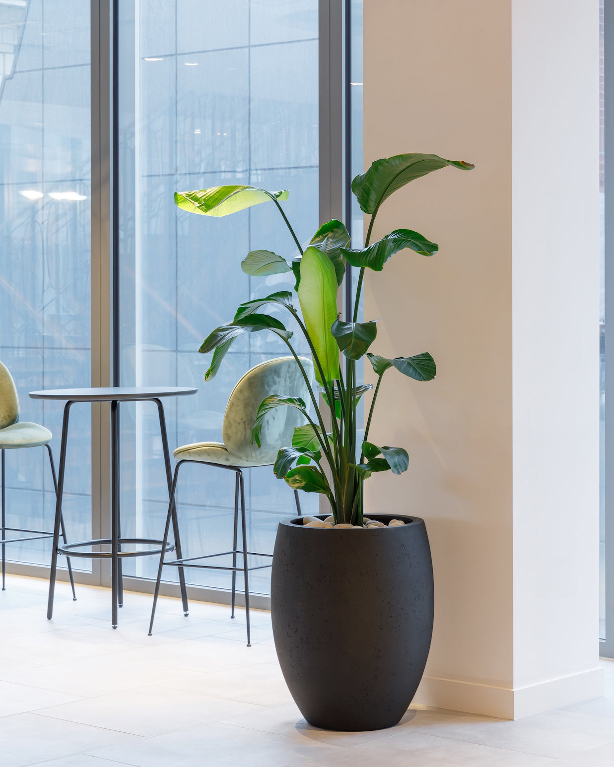 Grigio Tall Egg Pot 88 - Anthracite - Drømmemøbler