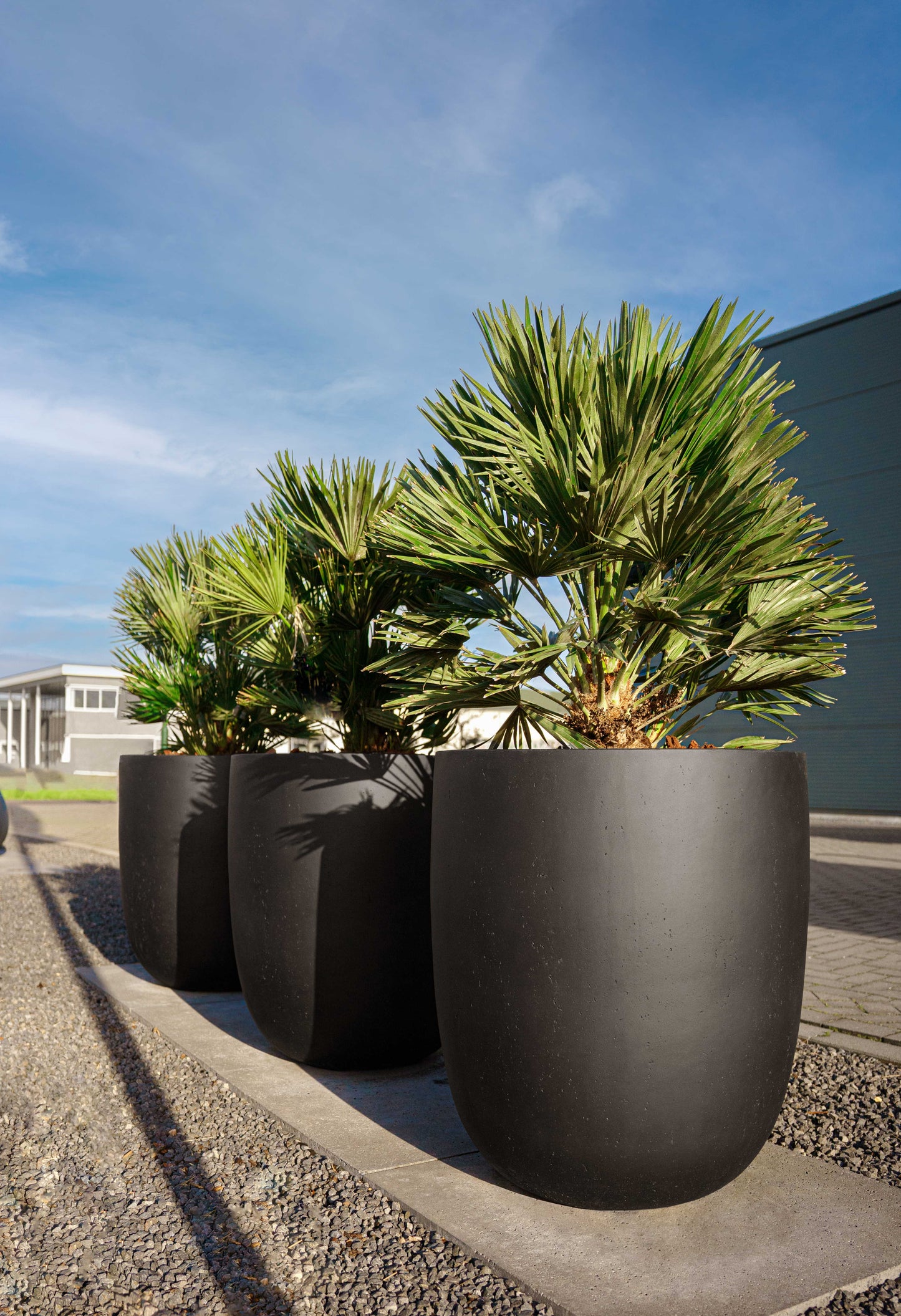 Grigio Tall Egg Pot 88 - Anthracite - Drømmemøbler