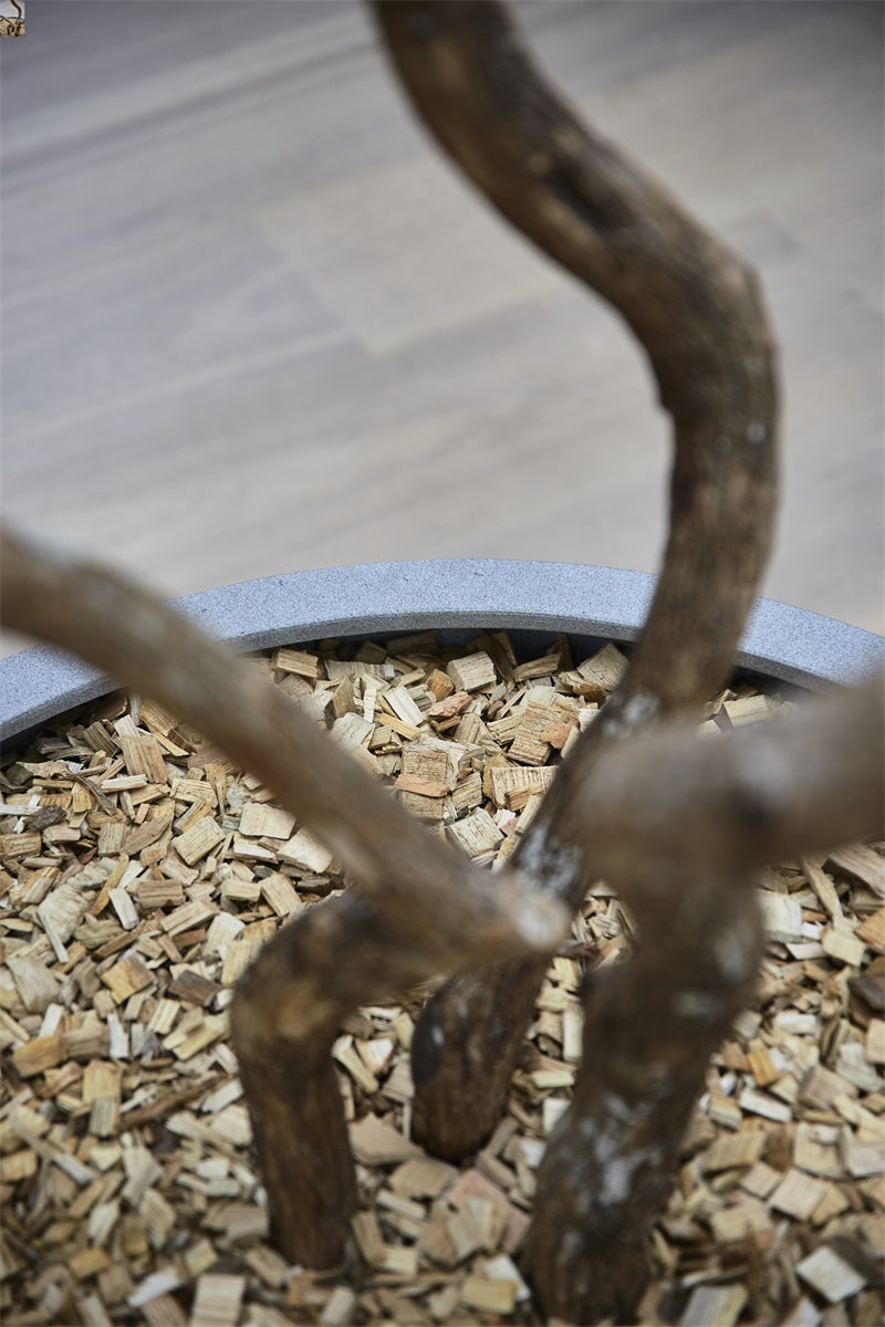 Grigio New Egg Pot Low 80 - Drømmemøbler