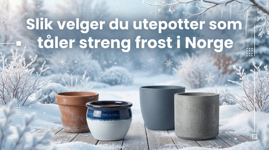 Slik velger du utepotter som tåler streng frost i Norge