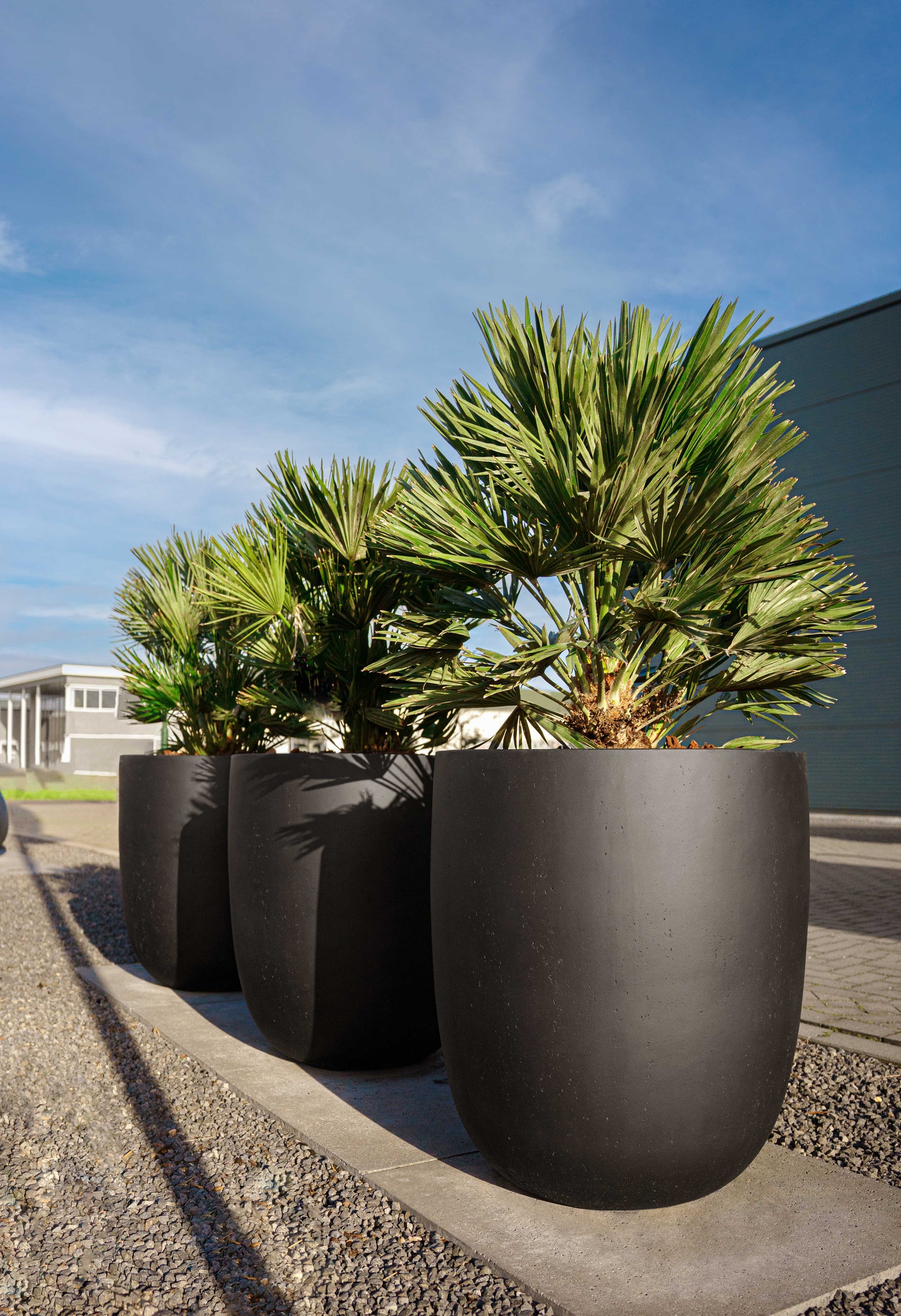 Grigio Tall Egg Pot 88 - Anthracite - Drømmemøbler