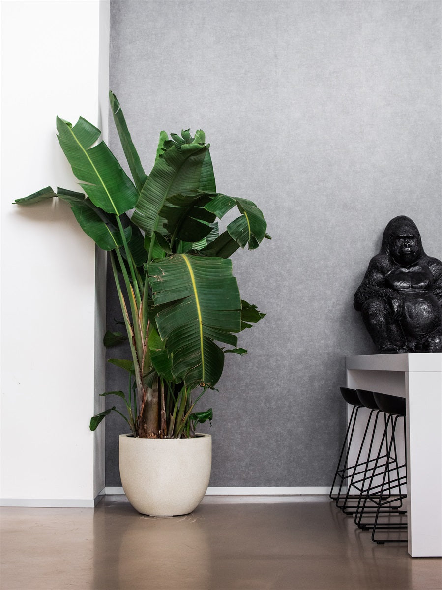 Grigio New Egg Pot 65 - Drømmemøbler