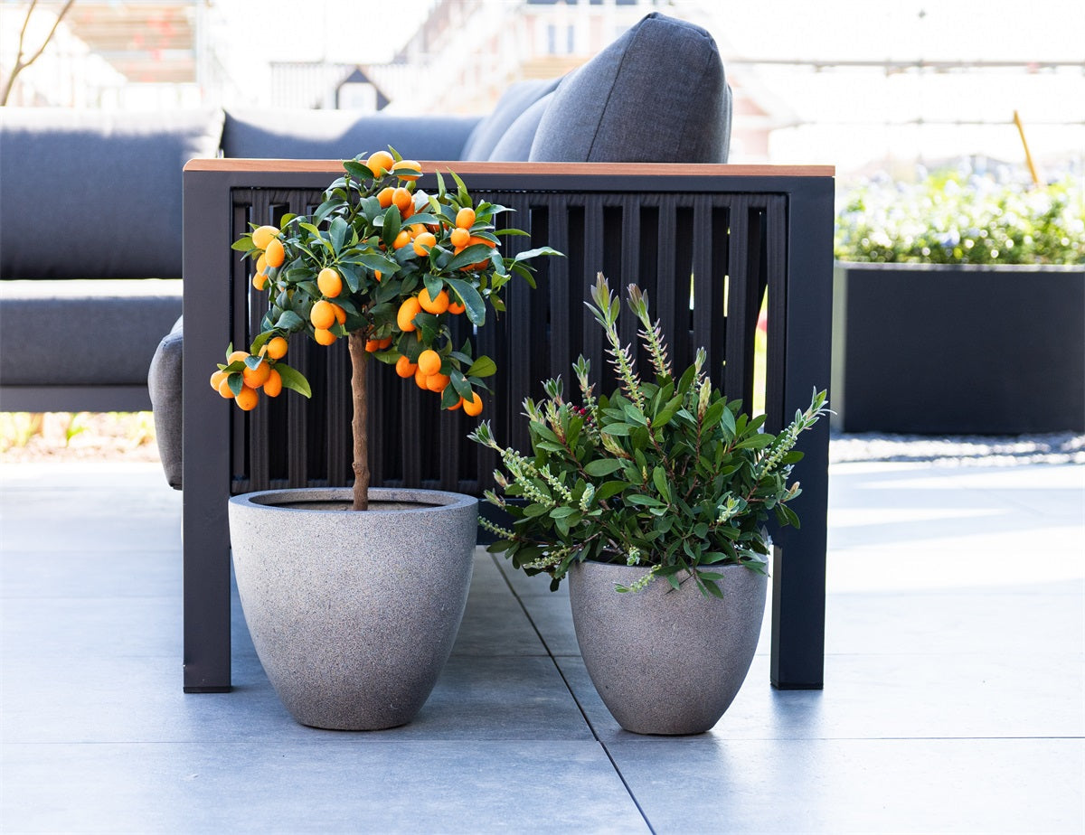 Grigio Egg Pot 60 Betong - Drømmemøbler